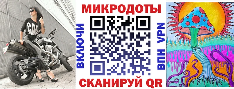 закладка  Каменск-Уральский  Псилоцибиновые грибы Psilocybine cubensis 